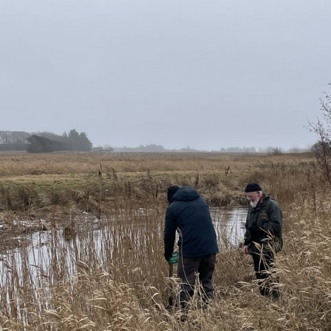forårsklar ved åen-1